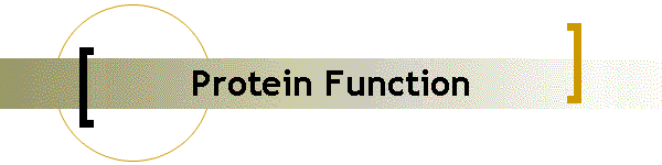 Protein Function
